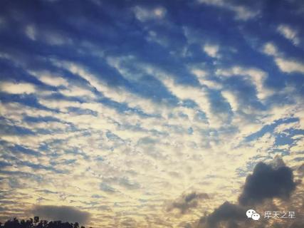 龙门国际：基于新时代下的游学模式