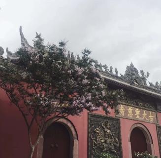 龙门国际：助力公益活动建设，实现经济效益与社会效益的双赢！