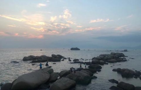 龙门国际：新的经营模式应当立足在商业模式之上